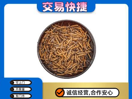 温州市永嘉回收散虫草